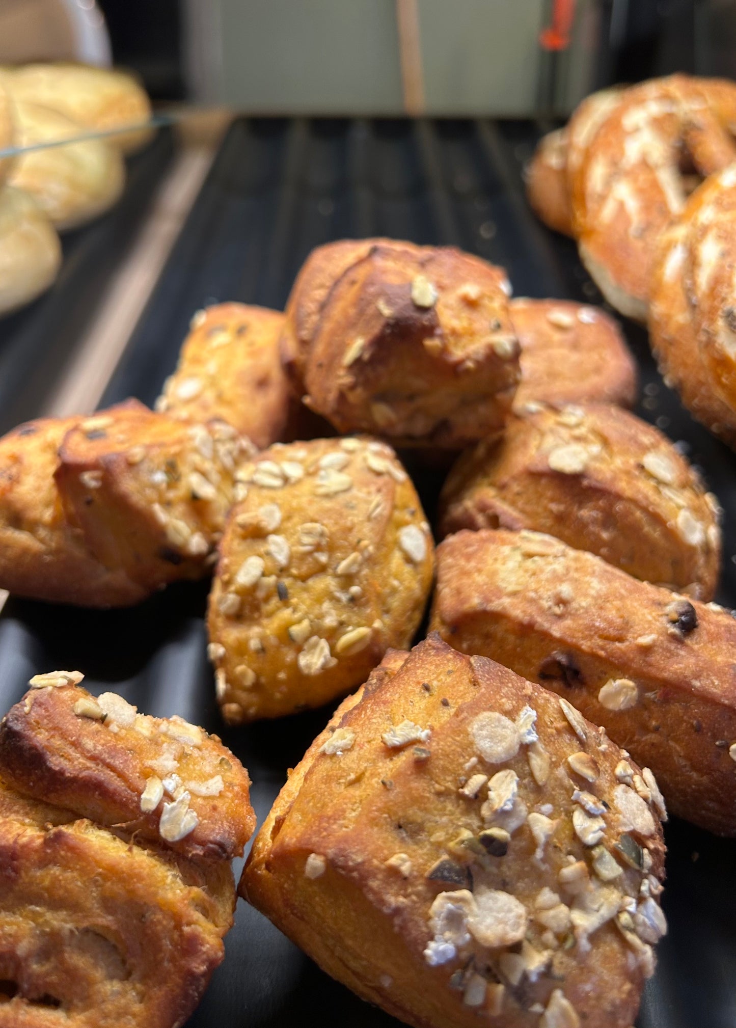 Protein Power Bits